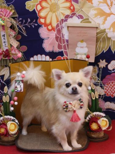 20240121とわくん